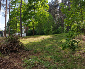 Griovimo darbai,sklypų tvarkymas, statybvietės paruošimas, / UAB Rytojaus vizijos projektai / Darbų pavyzdys ID 3704749