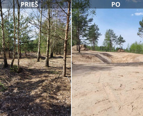 Sklypų tvarkymas, statybvietės paruošimas - Apleistų sklypų tvarkymas - 1 Apleistų sklypų tvarkymas - Sklypų tvarkymas, statybvietės paruošimas - 1