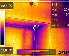 Termoviziniai tyrimai - Termovizoriaus E40bx paslaugos, šilumos nuostolių nustatymas - 2