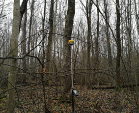 Žemės sklypų matavimas - Žemės sklypų kadastriniai matavimai Utenos apskrityje - 1