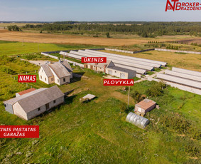 Komercinių patalpų, verslo vertinimas, pardavimas, dokumentų tvarkymas.