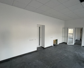 Sienų dažymas - Vidaus apdailos darbai - 2