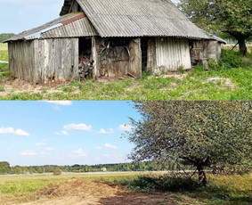 Griovimo darbai, šiukšlių išvežimas. / Ernestas Žilinskij / Darbų pavyzdys ID 3710067