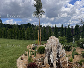 Žalių erdvių dizainas / Elebores / Darbų pavyzdys ID 3711531