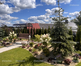 Žalių erdvių dizainas / Elebores / Darbų pavyzdys ID 3711539