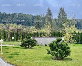 Statybos, apdaila - Žalių erdvių dizainas - 3