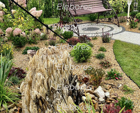 Statybos, apdaila - Žalių erdvių dizainas - 2