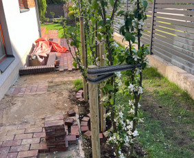 Genėjimas, apželdinimas ir kiti aplinkotvarkos darbai / Dainius Kubilius / Darbų pavyzdys ID 3712807