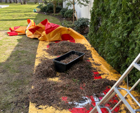 Genėjimas, apželdinimas ir kiti aplinkotvarkos darbai / Dainius Kubilius / Darbų pavyzdys ID 3712863