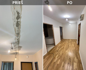 Apdailos darbai – nuo paruošimo iki dažymo / Gediminas / Darbų pavyzdys ID 3712985