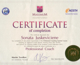 Geštalto psichoterapija, giluminis koučingas. Porų terapija / Sonata Aaltonen, PCC / Darbų pavyzdys ID 3713075