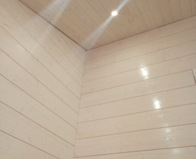 Karkasinių pastatų statyba ,stogai , renovacija. / Jonas Sviglinskas / Darbų pavyzdys ID 3713951