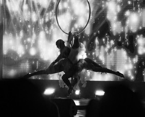 Pole Dance ir Oro Akrobatikos Šou / MB pole sporto akademija / Darbų pavyzdys ID 3714425