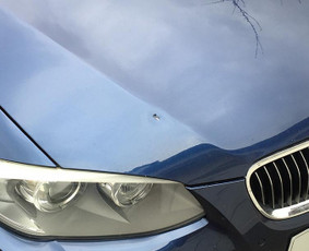 Autoservisai, automobilių remontas - Sparno dazymas kaina nuo 80 , automobilio dažymas, - 3