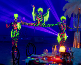 Šou programos / Diamonds Show / Darbų pavyzdys ID 3716599
