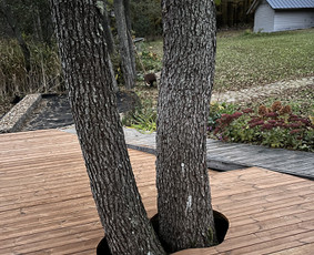 Terasų įrengimas, staliaus darbai / UAB Elit Partners / Darbų pavyzdys ID 3717379