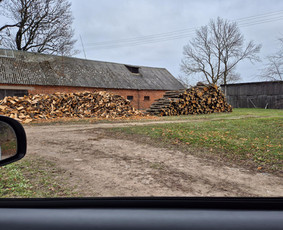 Malkos: gamyba, pristatymas - Juodalksnio malkos - 2