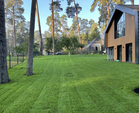 Vejos įrengimas ir laistymo sistemos Tauragėje / MB Hortus pro / Darbų pavyzdys ID 3718481