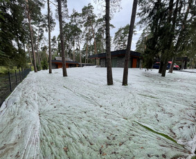 Vejos įrengimas ir laistymo sistemos Klaipėdoje / MB Hortus pro / Darbų pavyzdys ID 3718789