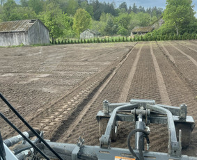Vejos įrengimas ir laistymo sistemos Kaune / MB Hortus pro / Darbų pavyzdys ID 3718955