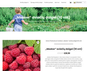 #1 Internetinių Svetainių ir Parduotuvių Kūrimas (seo/ads) / Svetainių kūrimas ir reklama / Darbų pavyzdys ID 3719515