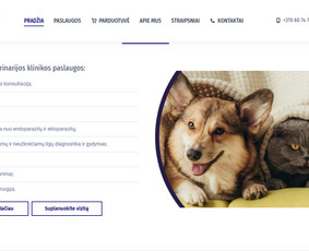 #1 Internetinių Svetainių ir Parduotuvių Kūrimas (seo/ads) / Svetainių kūrimas ir reklama / Darbų pavyzdys ID 3719517