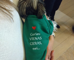 Profesionalus Siuvinėjimas (Mašina) Pagal Jūsų Idėją / Ugnė Ašmėgaitė / Darbų pavyzdys ID 3720665