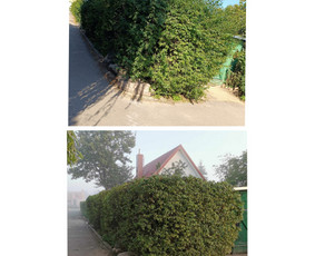 Vaismedžių genėjimas. Dekoratyvių augalų formavimas. / SODO AURA / Darbų pavyzdys ID 3720719