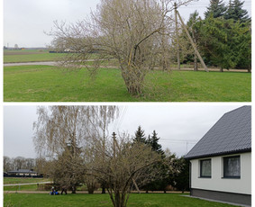 Vaismedžių genėjimas. Dekoratyvių augalų formavimas. / SODO AURA / Darbų pavyzdys ID 3720729