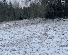 Pigiausias atliekų surinkimas, išvežimas, naikinimas / UAB"Monrosa" / Darbų pavyzdys ID 3720993