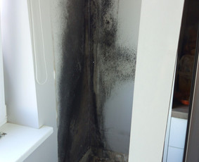 Sienų glaistymas - Apdailos darbai. - 1