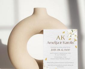Spaudos maketavimas - Logotipai - Iliustracijos - Paveikslai / angel studio. / Darbų pavyzdys ID 3722749