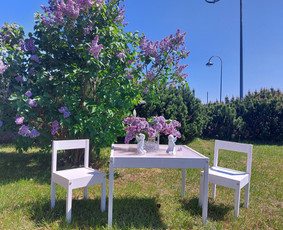 Kavinė - sodyba / MB „MVK3“ / Darbų pavyzdys ID 3723447