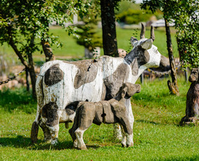 Kavinė - sodyba / MB „MVK3“ / Darbų pavyzdys ID 3723553