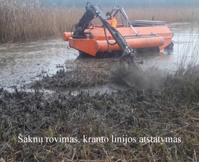 Pakrančių priežiūra ir tvarkymas visoje Lietuvoje - Aplinka, sodas - 1 Aplinka, sodas - Pakrančių priežiūra ir tvarkymas visoje Lietuvoje - 1