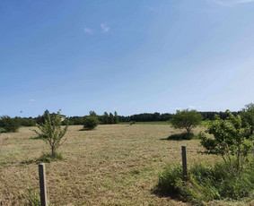 Žolės Pjovimas / Žemės darbai / Aplinkos priežiūra / MB Edtra / Darbų pavyzdys ID 3728257