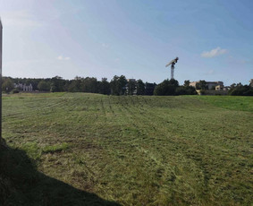 Žolės Pjovimas / Žemės darbai / Aplinkos priežiūra / MB Edtra / Darbų pavyzdys ID 3728259