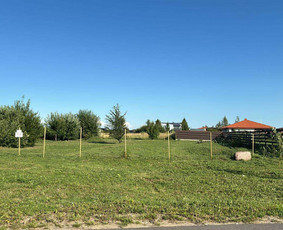 Žolės Pjovimas / Žemės darbai / Aplinkos priežiūra / MB Edtra / Darbų pavyzdys ID 3728267