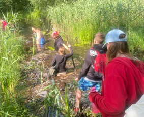 Žygiai vaikams, paaugliams, šeimoms su žaidimais miškuose / Robertas Janovskis / Darbų pavyzdys ID 3729349