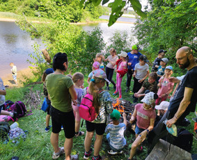 Žygiai vaikams, paaugliams, šeimoms su žaidimais miškuose / Robertas Janovskis / Darbų pavyzdys ID 3729421