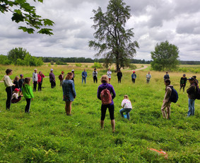 Žygiai vaikams, paaugliams, šeimoms su žaidimais miškuose / Robertas Janovskis / Darbų pavyzdys ID 3729425