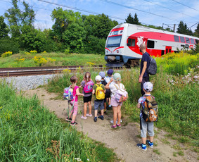 Žygiai vaikams, paaugliams, šeimoms su žaidimais miškuose / Robertas Janovskis / Darbų pavyzdys ID 3729449