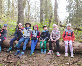 Žygiai vaikams, paaugliams, šeimoms su žaidimais miškuose / Robertas Janovskis / Darbų pavyzdys ID 3729473