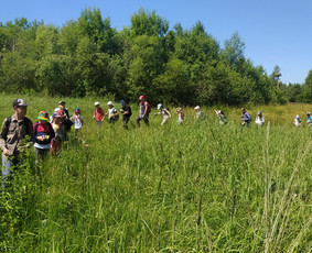 Žygiai vaikams, paaugliams, šeimoms su žaidimais miškuose / Robertas Janovskis / Darbų pavyzdys ID 3729481