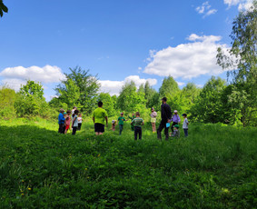 Žygiai vaikams, paaugliams, šeimoms su žaidimais miškuose / Robertas Janovskis / Darbų pavyzdys ID 3729503