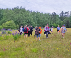 Žygiai vaikams, paaugliams, šeimoms su žaidimais miškuose / Robertas Janovskis / Darbų pavyzdys ID 3729509