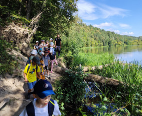 Žygiai vaikams, paaugliams, šeimoms su žaidimais miškuose / Robertas Janovskis / Darbų pavyzdys ID 3729515