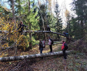 Žygiai vaikams, paaugliams, šeimoms su žaidimais miškuose / Robertas Janovskis / Darbų pavyzdys ID 3729687