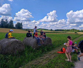 Žygiai vaikams, paaugliams, šeimoms su žaidimais miškuose / Robertas Janovskis / Darbų pavyzdys ID 3729697