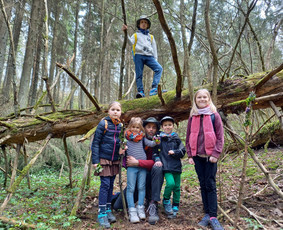 Žygiai vaikams, paaugliams, šeimoms su žaidimais miškuose / Robertas Janovskis / Darbų pavyzdys ID 3729701